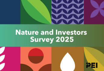 RI Nature and Investors Survey 2025: Results Responsible Investor Nature and Investors Survey 2025 cover