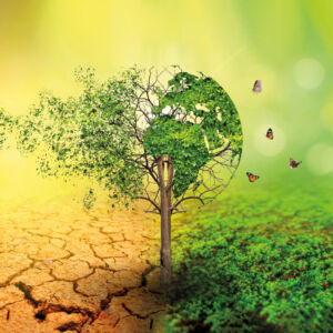 Biodiversity report theme