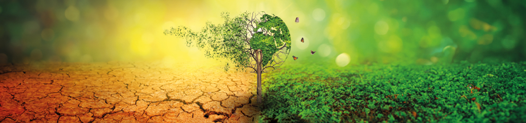 Biodiversity Report 2024 theme