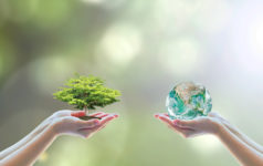 Two people human hands holding/ saving growing big tree on soil eco bio globe in clean CSR ESG natural sunlight background World environment day go green concept Element of the image furnished by NASA