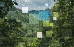 Abstract smart nature scene, networking, technology with network communication, measure the nature, power of nature