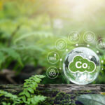 AP2 mulls reversing some divestments, citing need to engage emitters Sustainability and green business with icons on crystal balls. renewable energy concept Reduce CO2 emissions concept, green business using environmentally renewable energy. change, weather