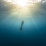 freediving