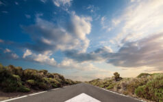 ISSB staff outline proposed approach for nature standard-setting