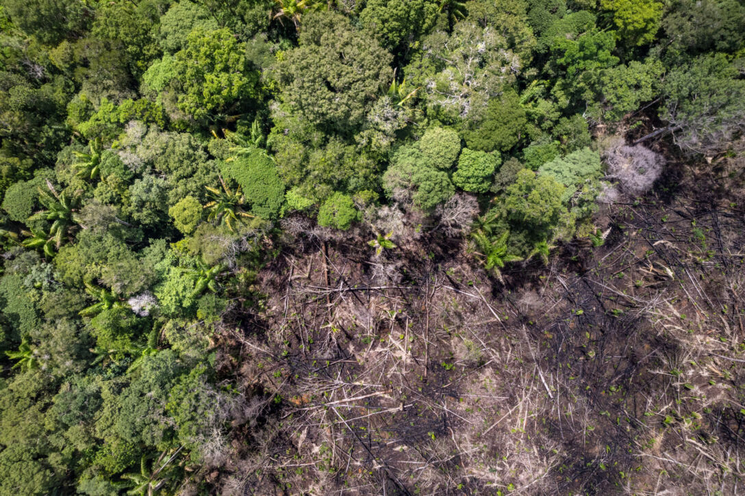 Amazon rainforest illegal deforestation landscape aerial view of trees cut and burned to make land for agriculture and cattle pasture in Amazonas, Brazil. Ecology, environment, global warming, co2.