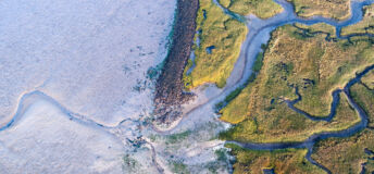 RI Nature Survey: Asset owners set out manager expectations