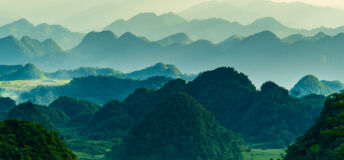 RI Nature survey: Almost two-thirds of investors lack sufficient data