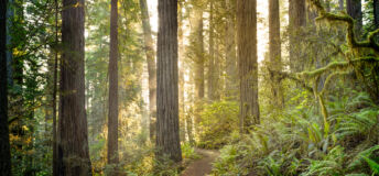 RI Nature Survey: Lack of opportunities hampering nature-positive investment