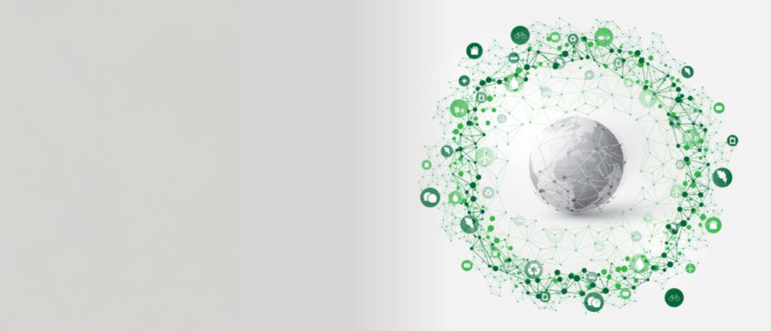 Sustainability network Sustainability network