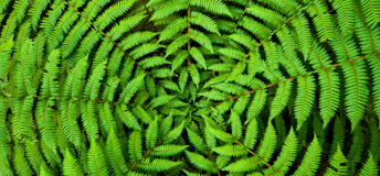 RI Nature Survey: Progress on policies, assessments and targets