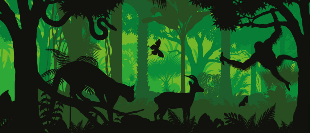 T9_0000_jungle_green_wildlife