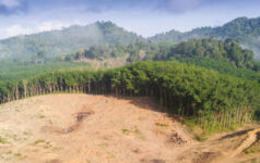 TNFD participation remains mixed in the APAC region