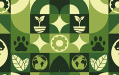 COP28 shows nature is climbing up the global agenda