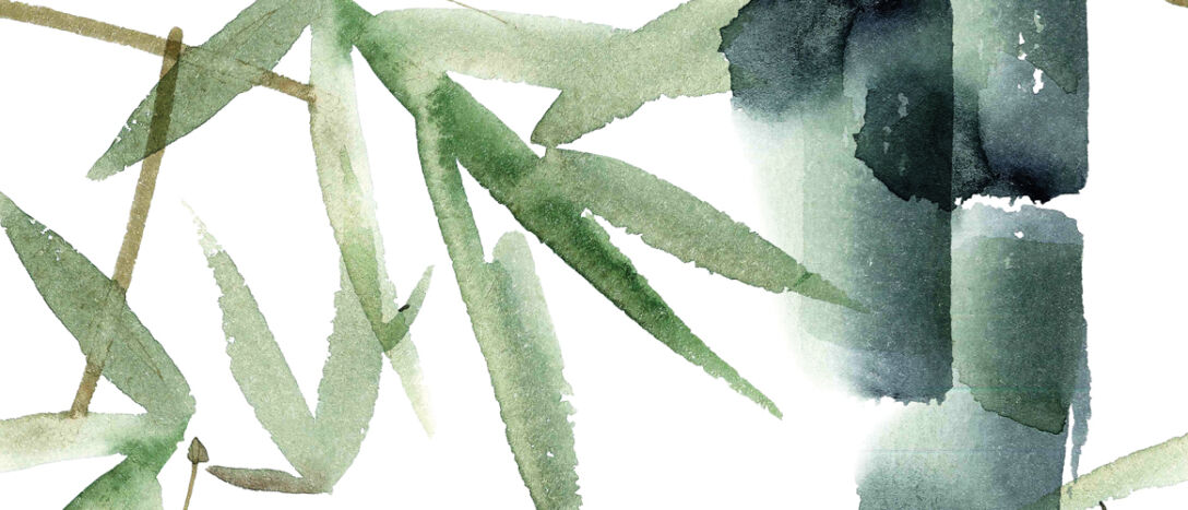 Bamboo watercolour Bamboo watercolour