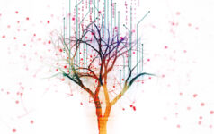 Data is the solution to the net-zero problem