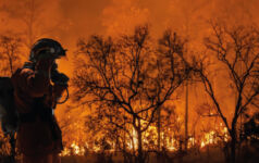 Six reflections on COP28 and the current state of the ESG landscape